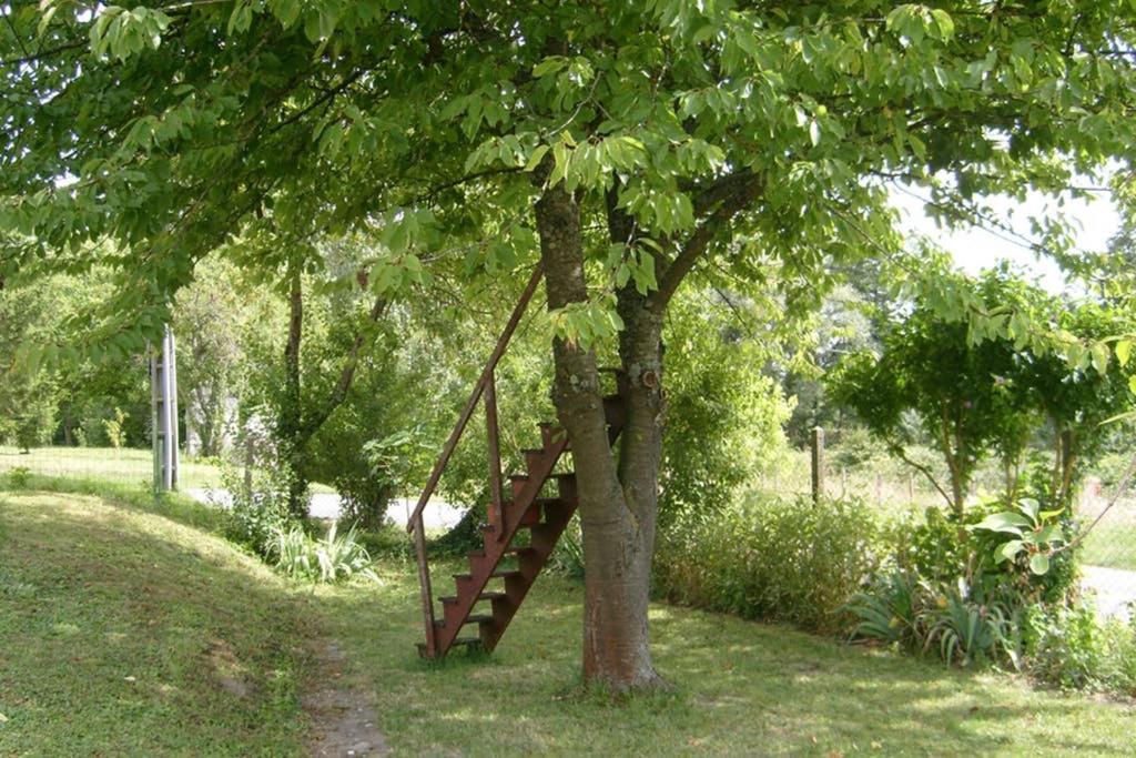 Petite Maison Au Bord Du Canal, 8' Zoo De Beauval, Pmr Noyers-sur-Cher Eksteriør bilde